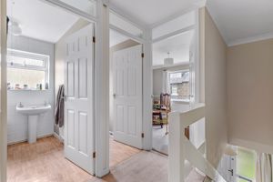 Photo 11- click for photo gallery